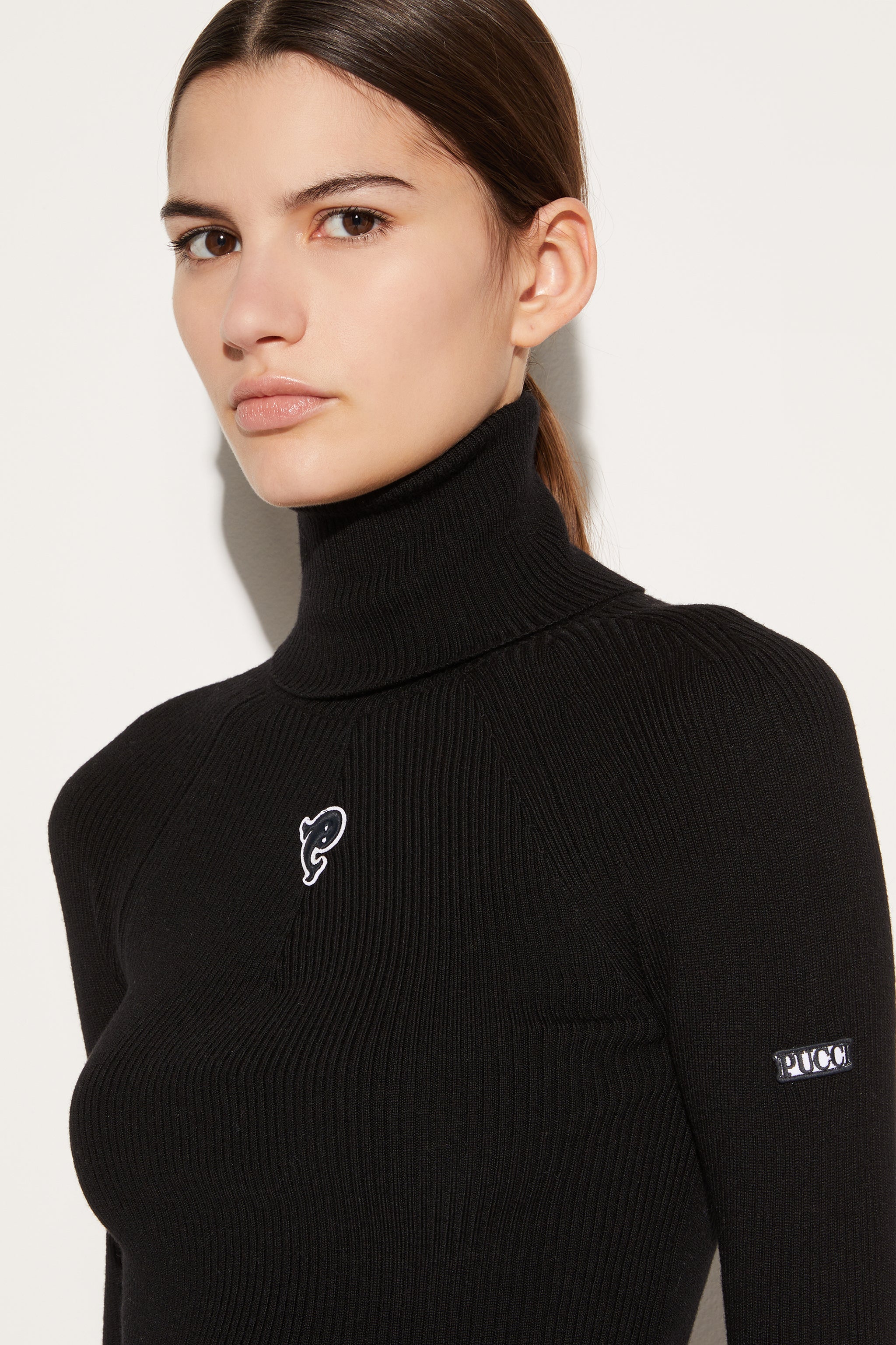 Pucci Logo-Appliqué Roll-Neck Sweater