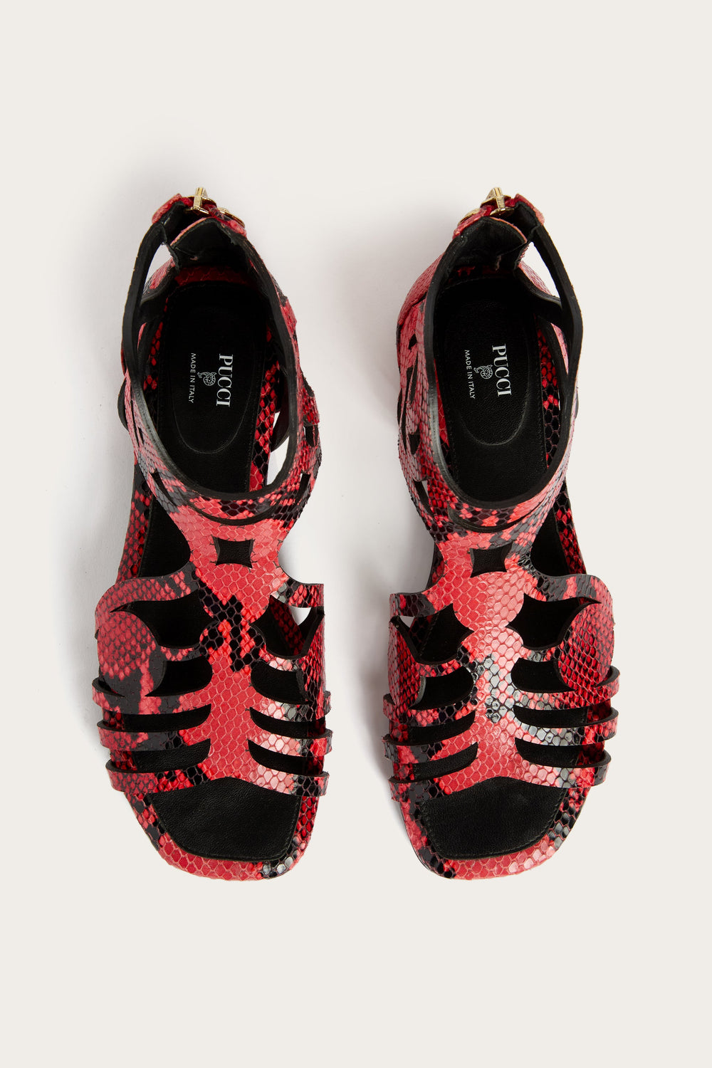 Pucci Low Gladiator Sandals