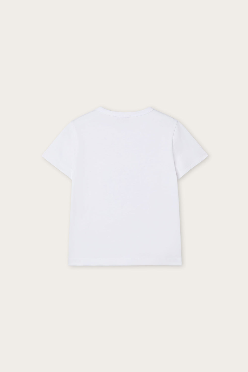 Pucci T-shirt with Embroidered Logo and Fish