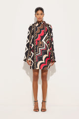 Pucci Istrice Print Silk Twill Dress