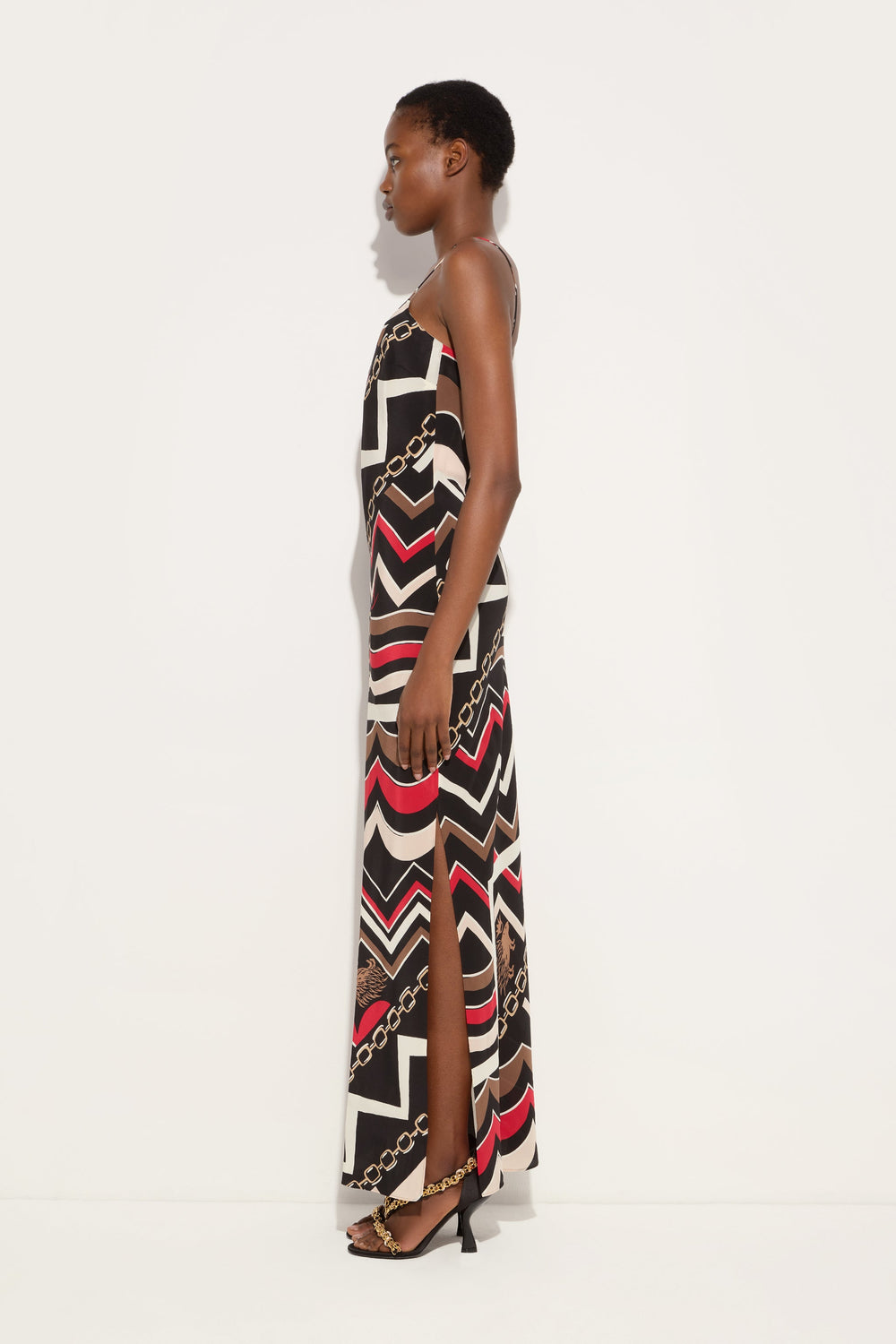 Pucci Istrice Print Long Dress