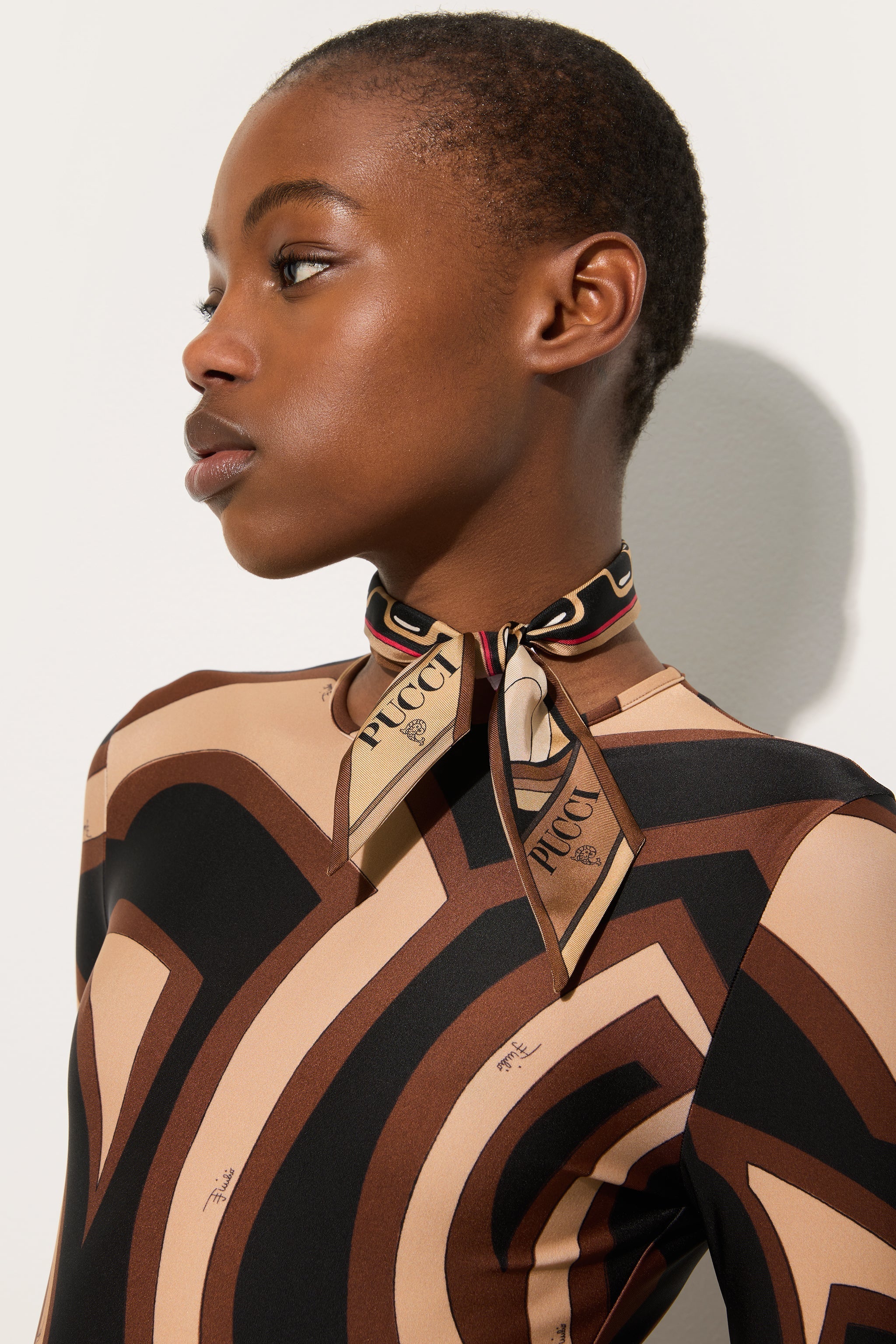 Pucci Iride and Istrice Print Silk Twill Scarf