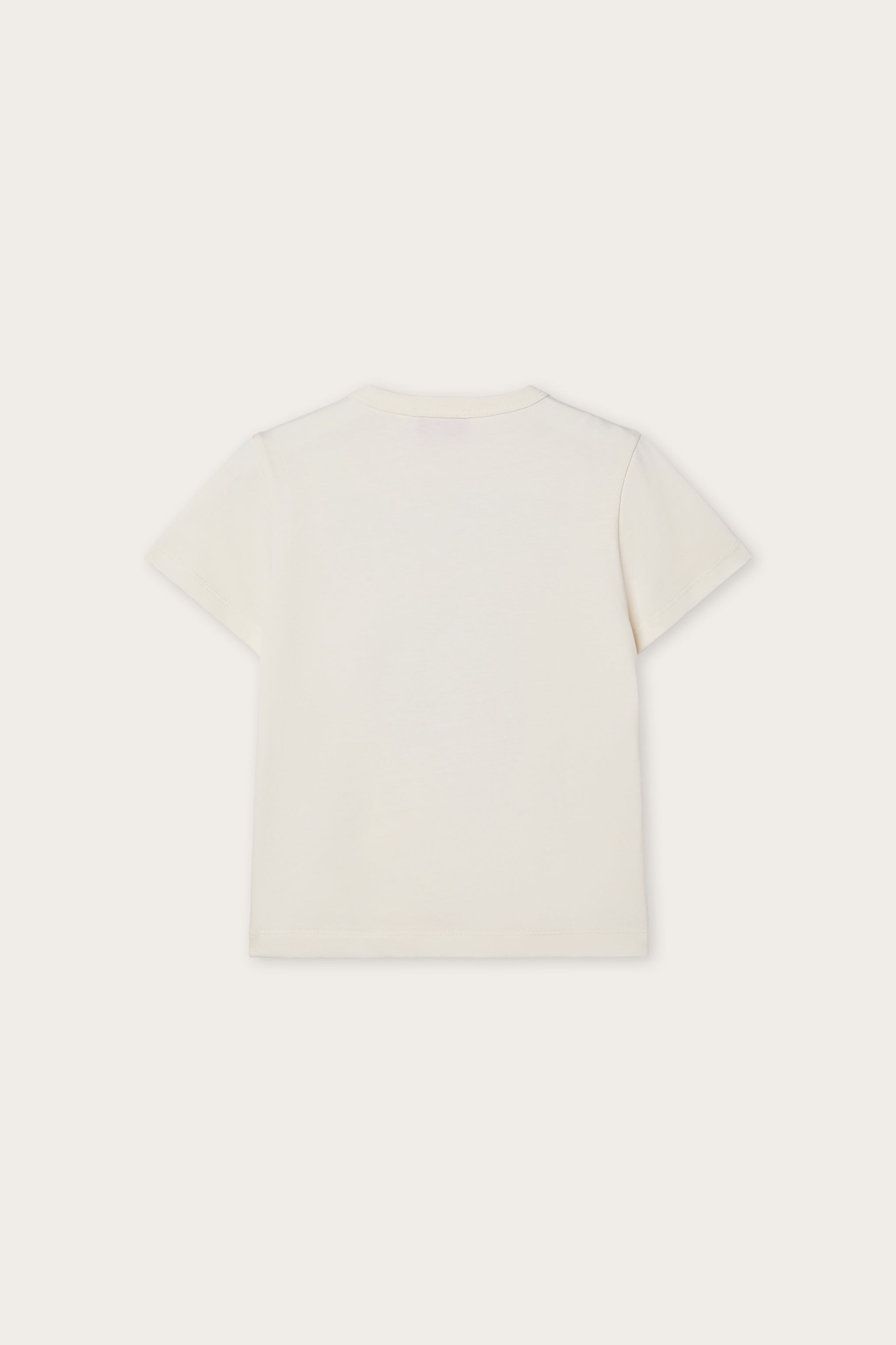 Pucci T-shirt with Embroidered Logo and Fish